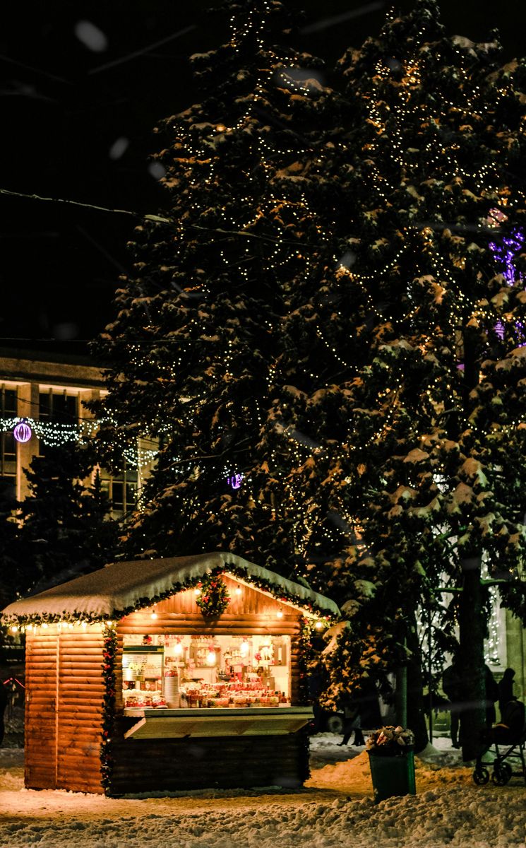Lighting Solutions That Brighten Every Occasion
