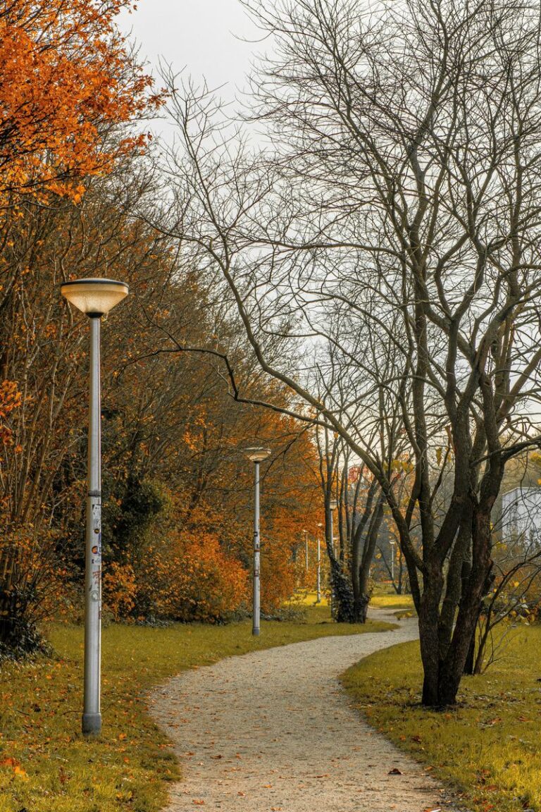 Stylish and Functional Pathway Lighting Solutions