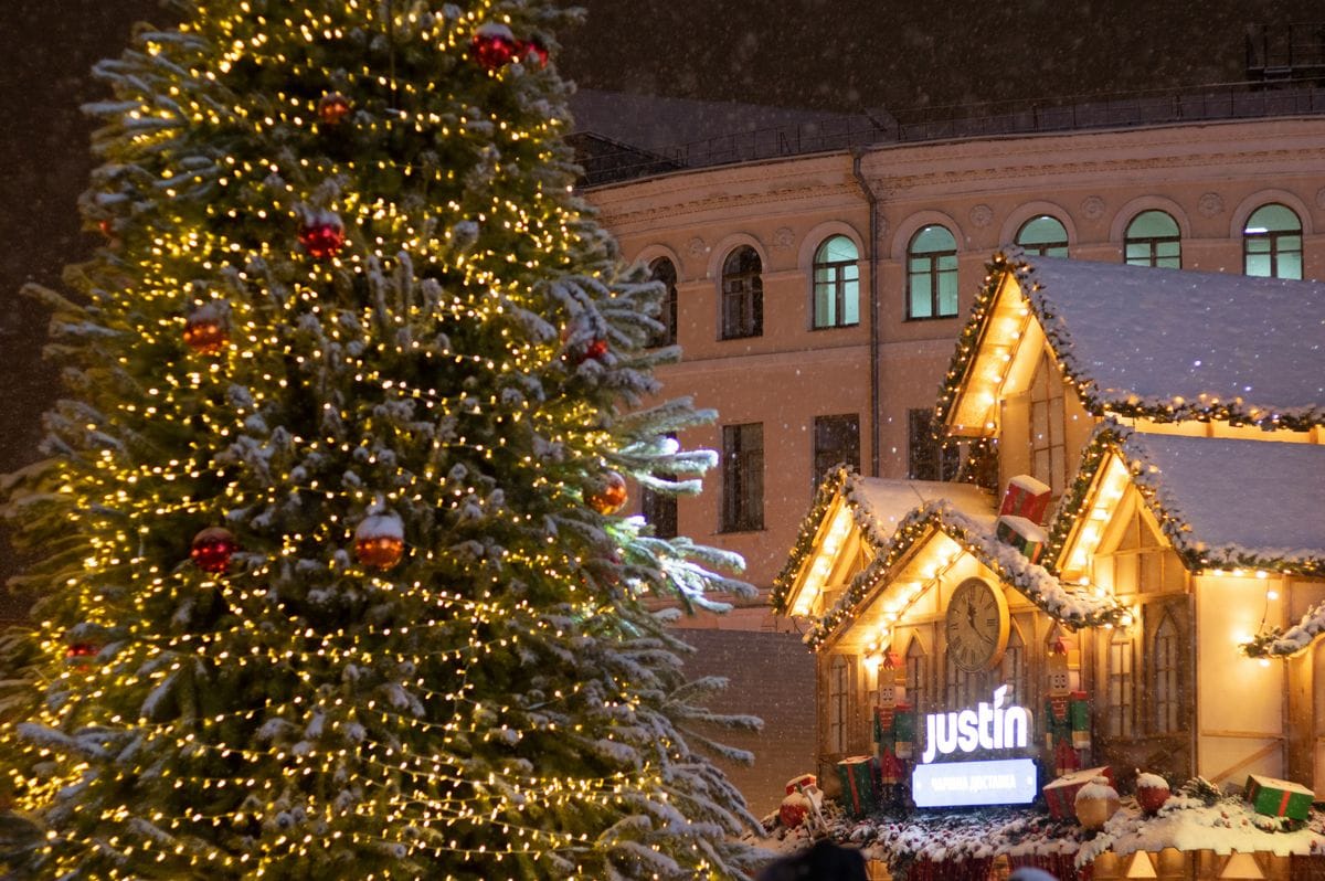 Premier Christmas Light Installation West Palm Beach