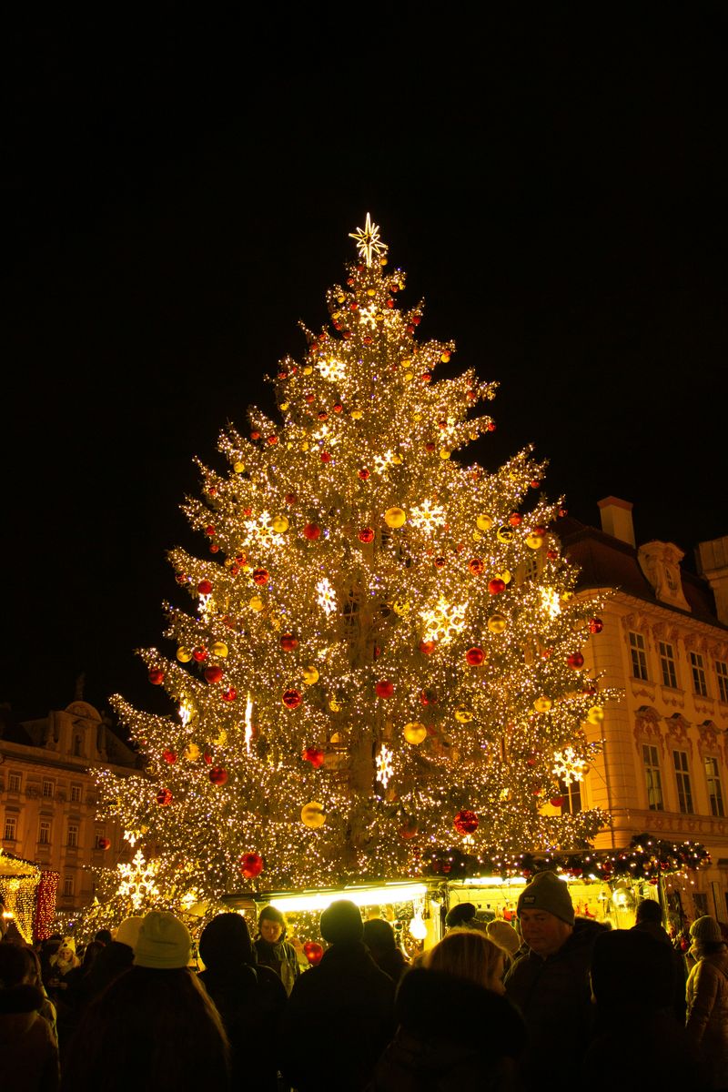 Professional Christmas Lighting In West Palm Beach 12 Why Choose American Lighting &Amp; Electrical Services For Your Christmas Lighting?