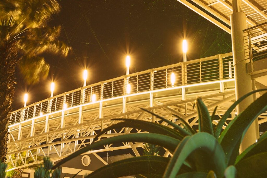 Vintage-Landscape-Photo_23-2149728872 Licensed Electrician And Electrical Contractor In West Palm Beach, Florida|Boat & Beach Deck Lighting