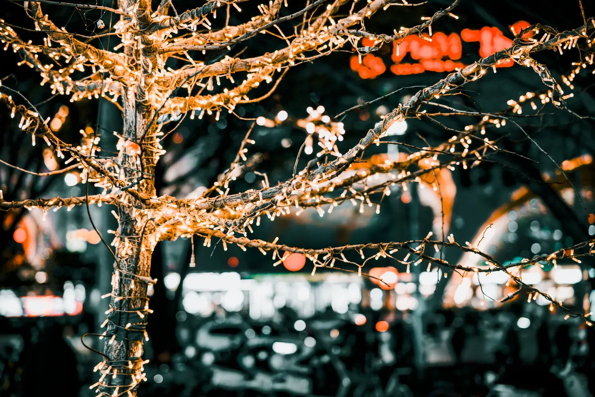Close Up Of Tree Branches Wrapped Tightly With Warm Halloween String Lights